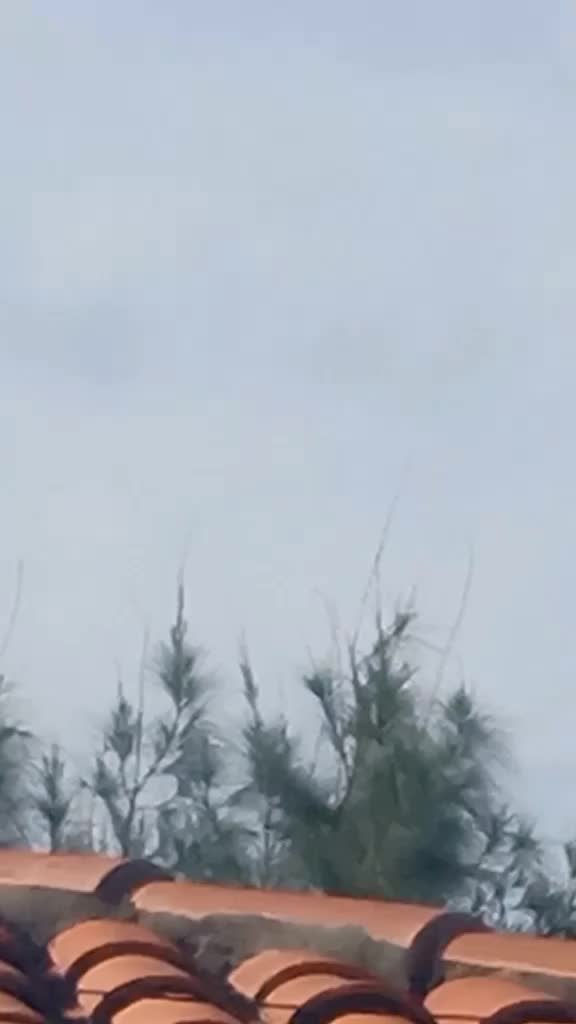 @godzilla