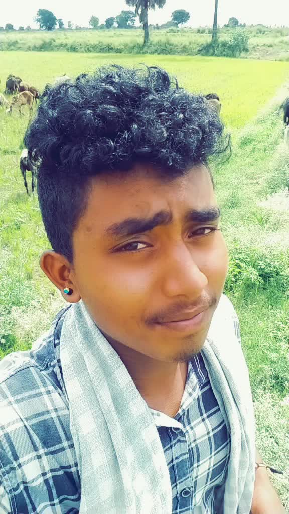 @Bommaanil