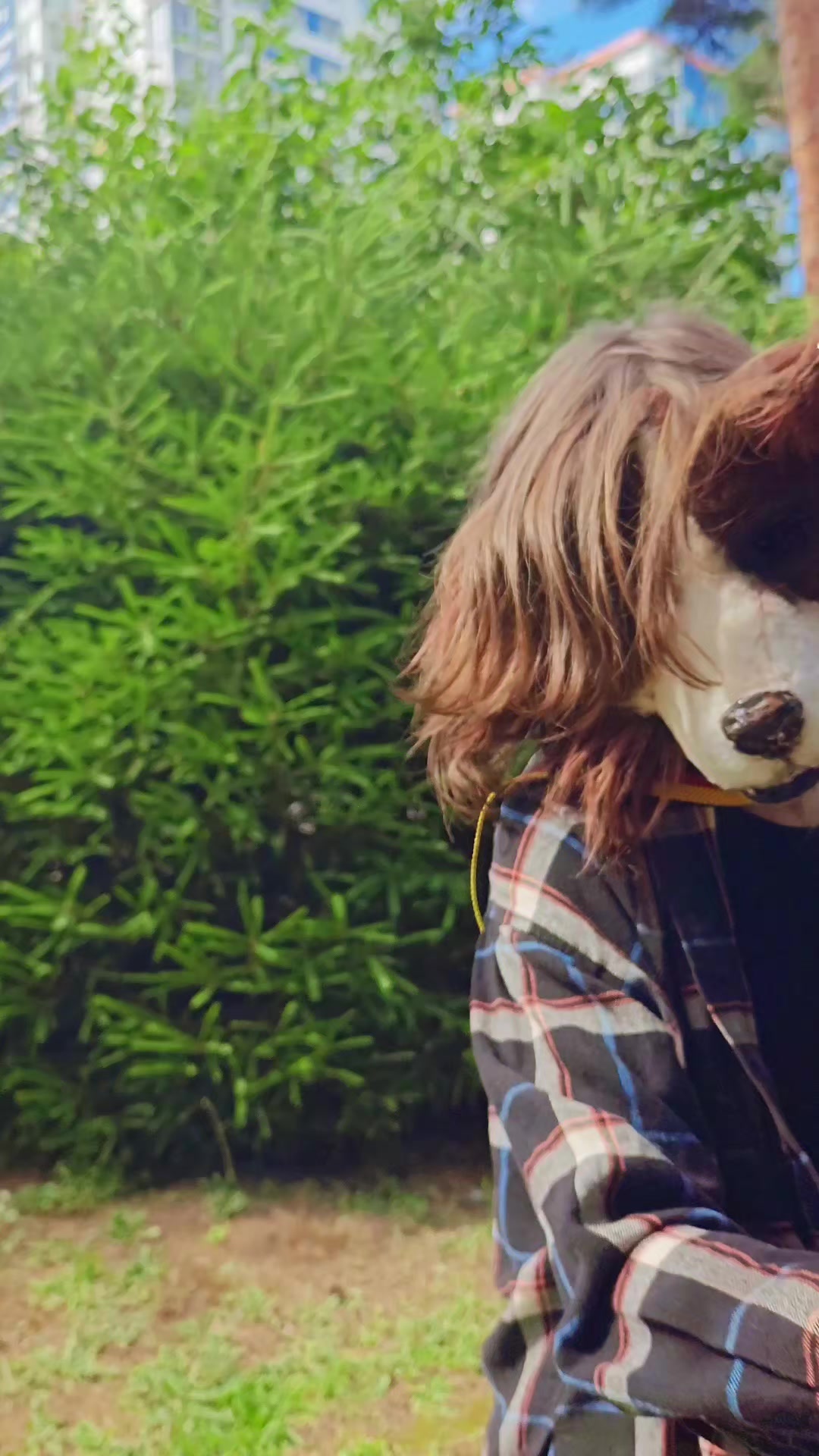 @──[🇩🇪] Dog✦༒Uiller || he/his