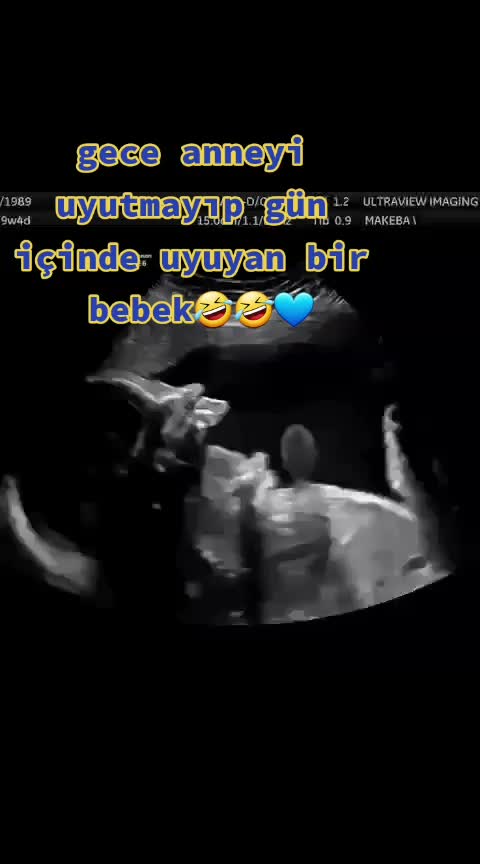 @💙 𝗛𝗶𝘃𝗱𝗮 💙
