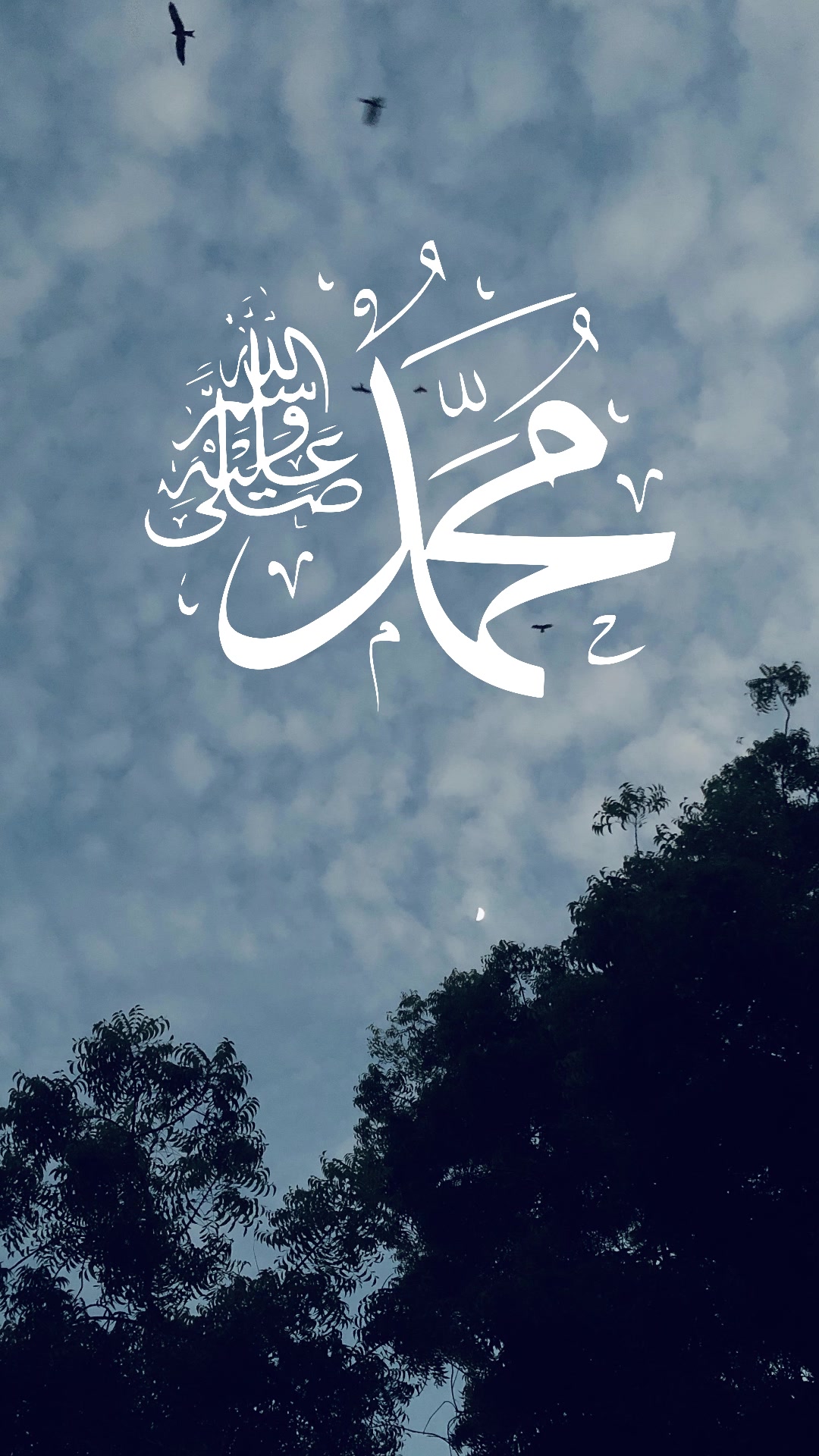 @Eman O Yakeen