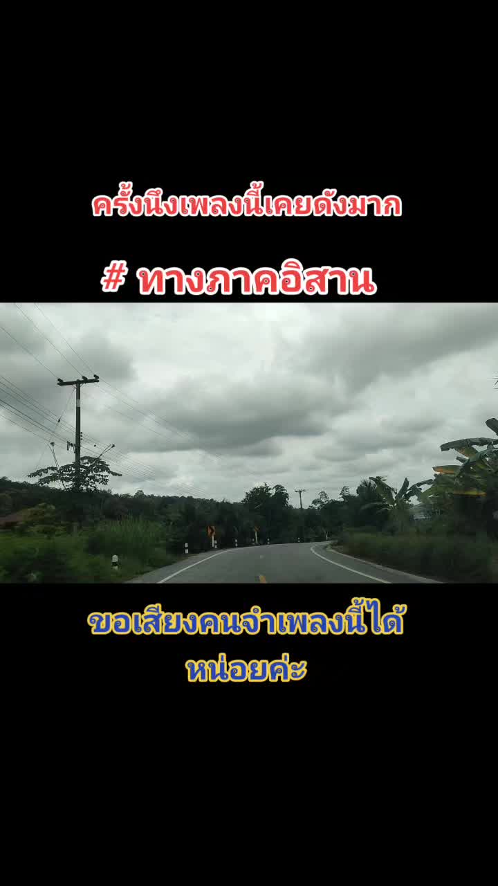 @ใบเตย