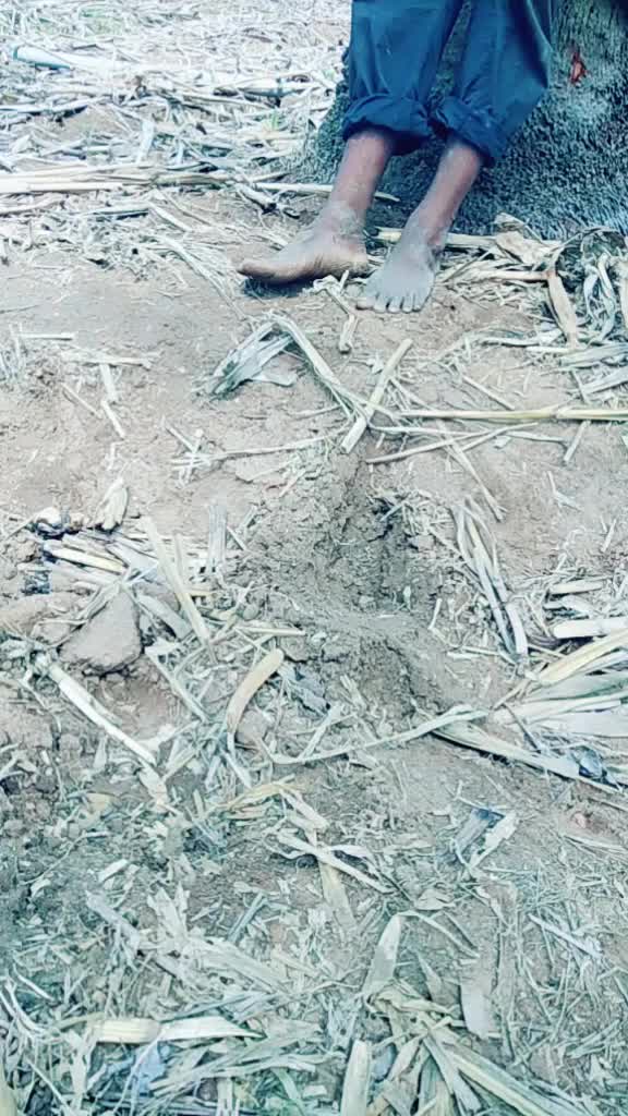 @ಅಭಿಲಾಷ್ ಸಿ ಅಜಯ್