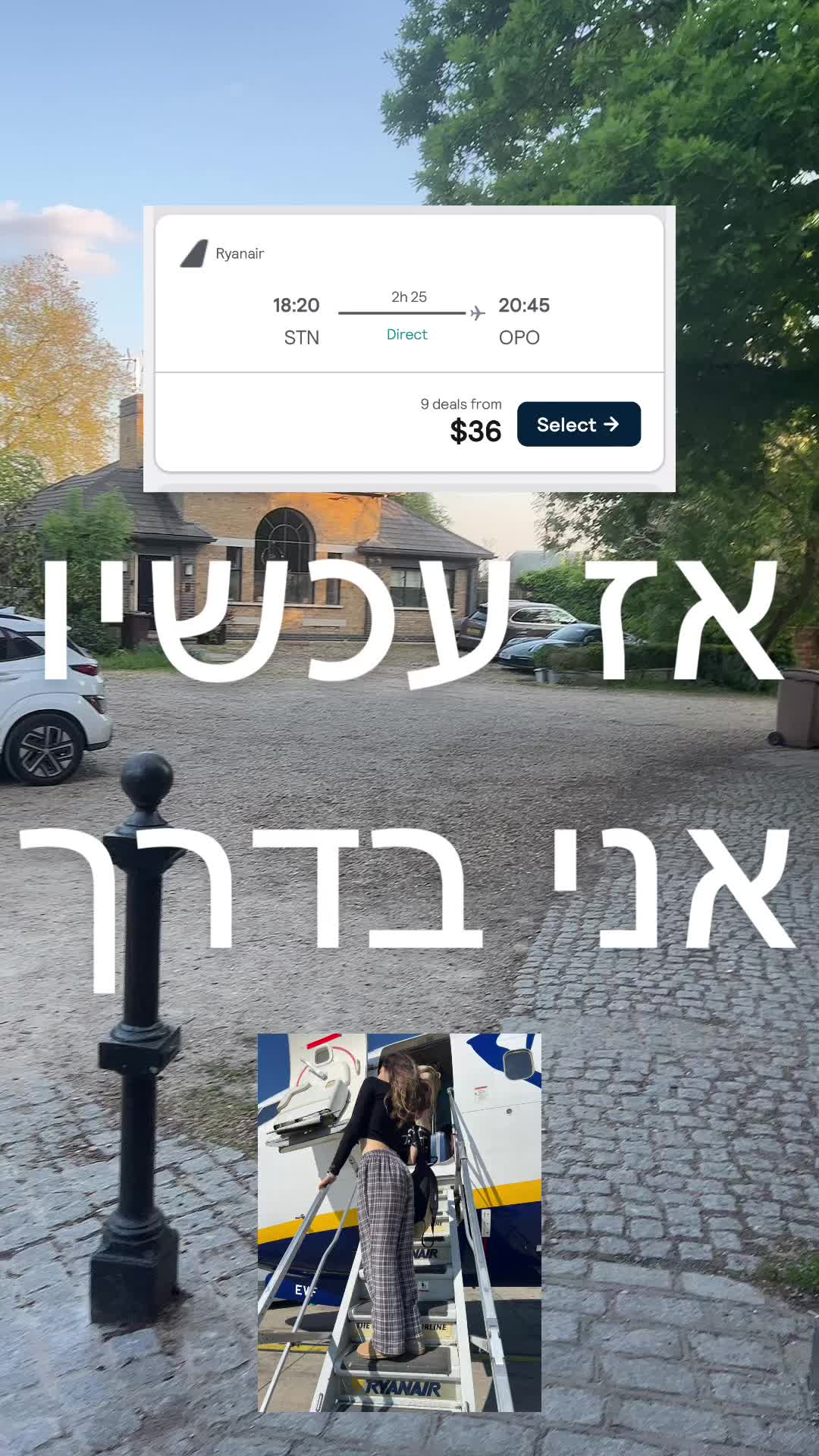 @💛 נוגה גפן - Noga Gefen 💛