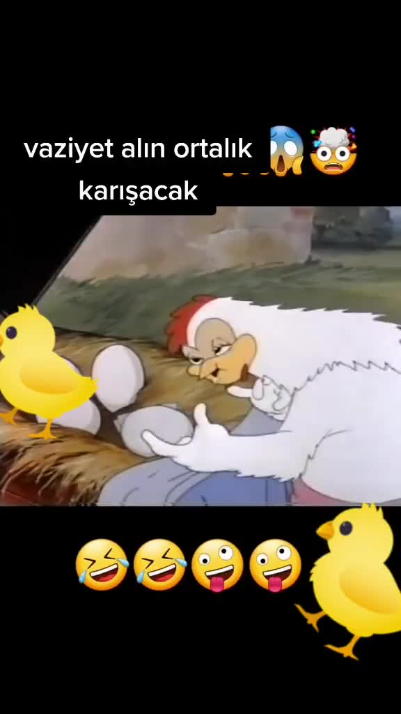 @❤❤❤❤