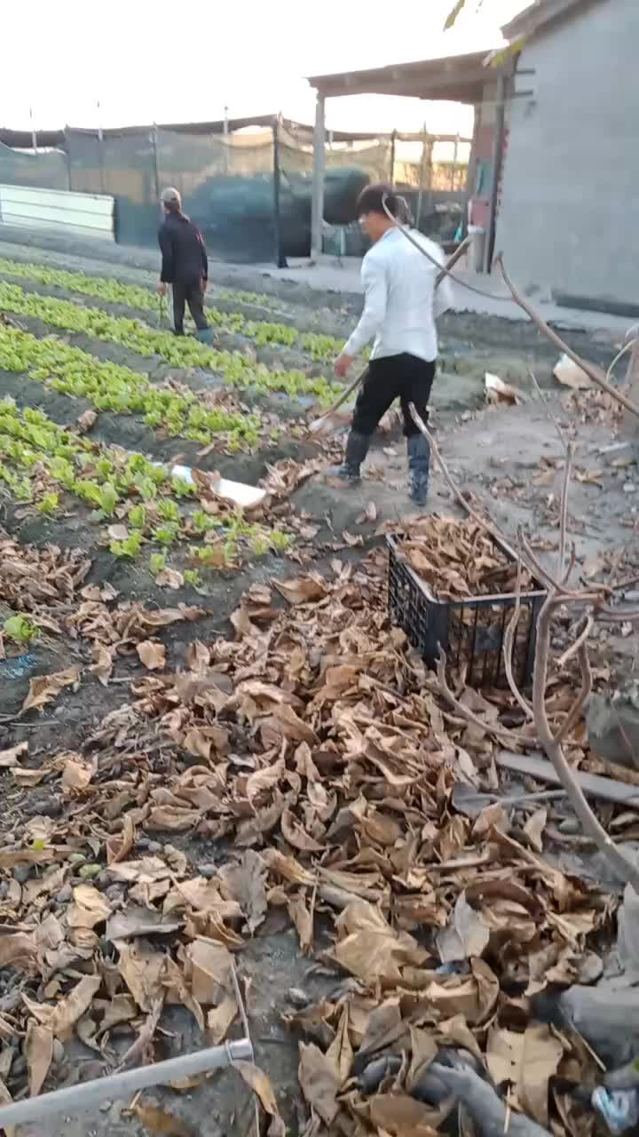 @Mười Tám Vũ