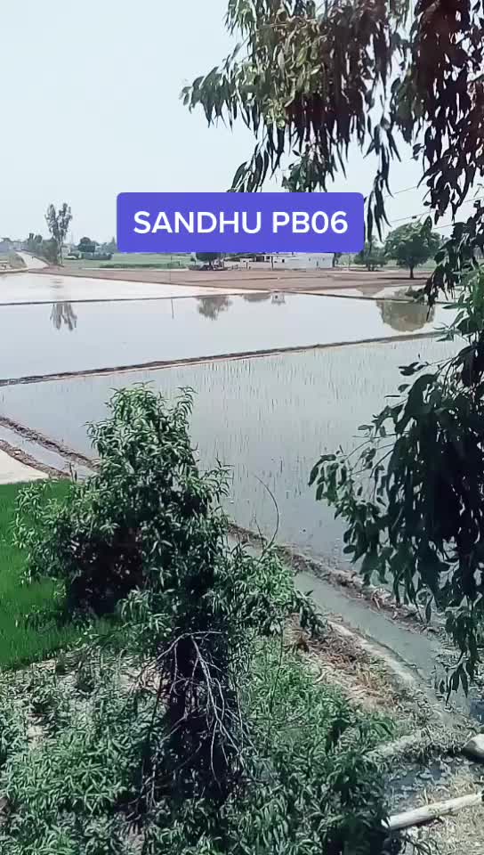 @Satinder 792