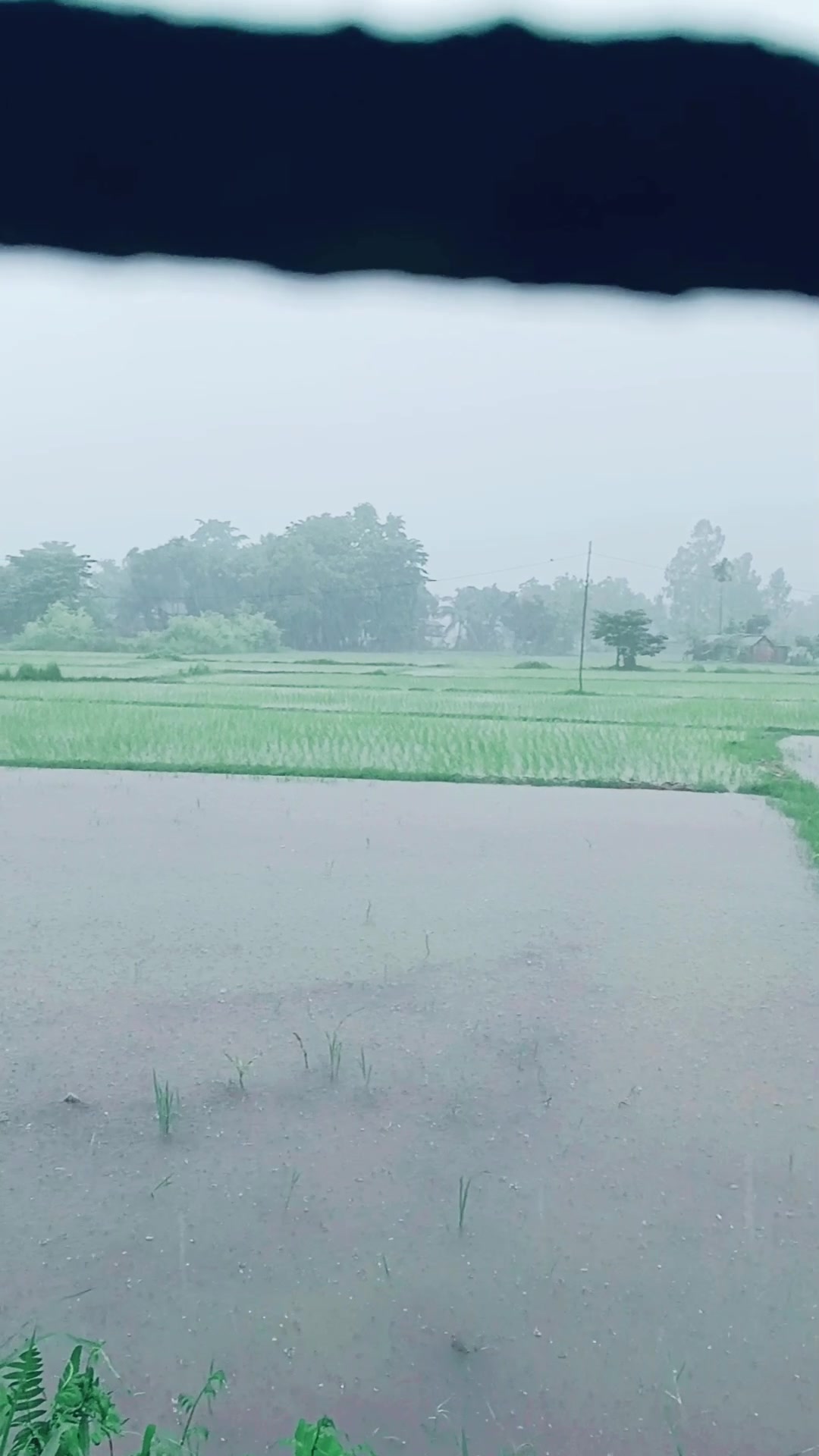 @PRATIMA BANTAWA123