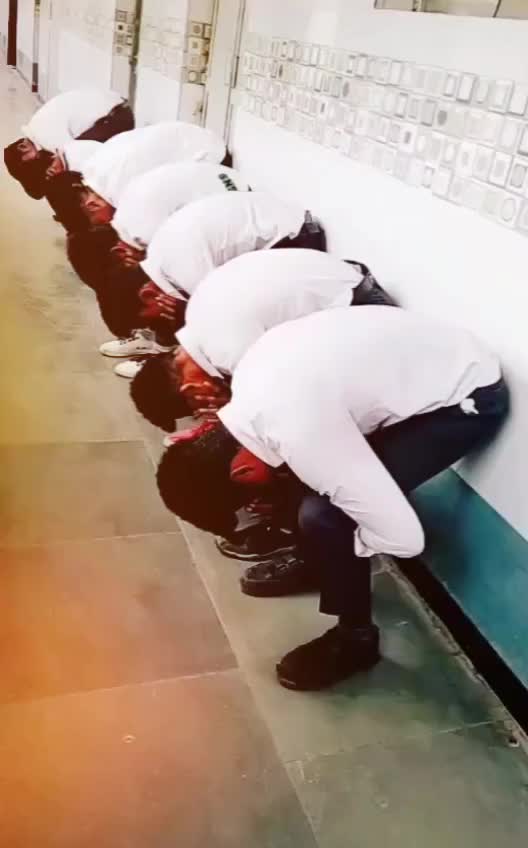 @goudsaib