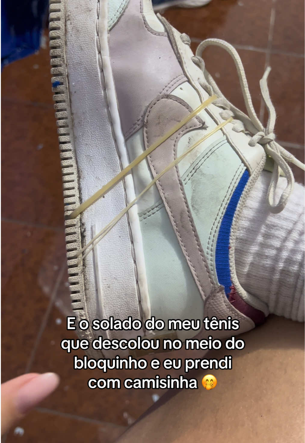 @carolnobrega_