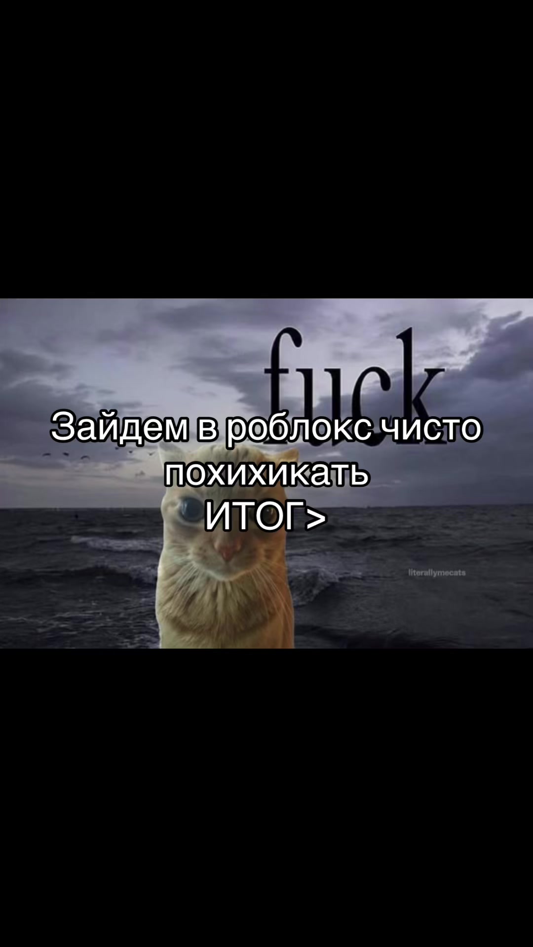 @fndsh