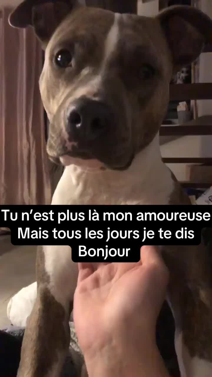 @Les passions 2 lauriane