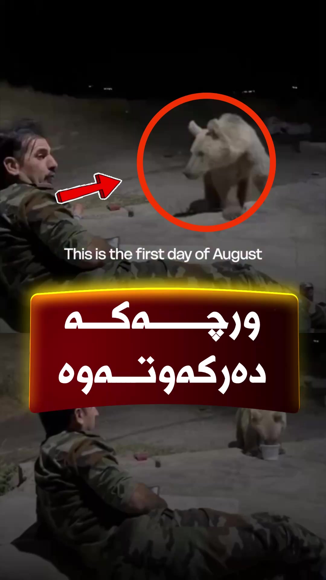 @🎤📺 𓆩جیگر هەركی𓆪 Journalist