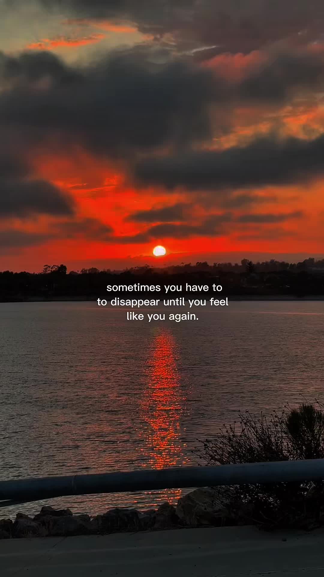 @dani