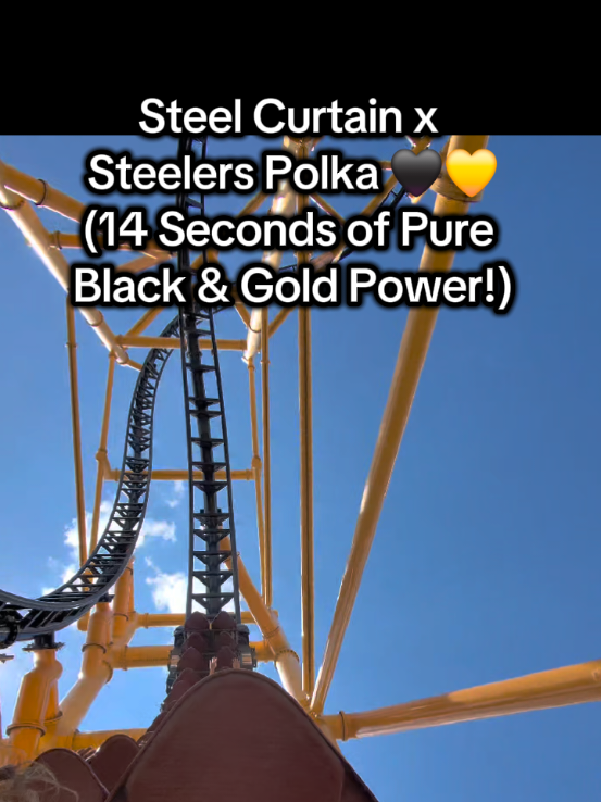@amusemecoasters