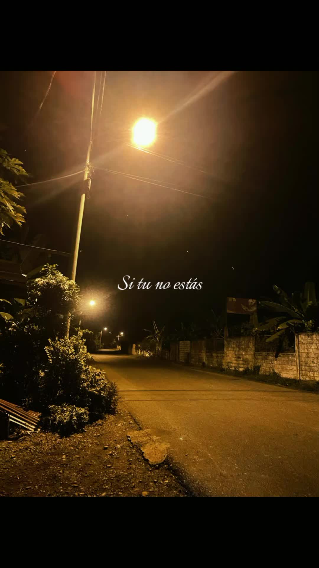 @elizabeth vera