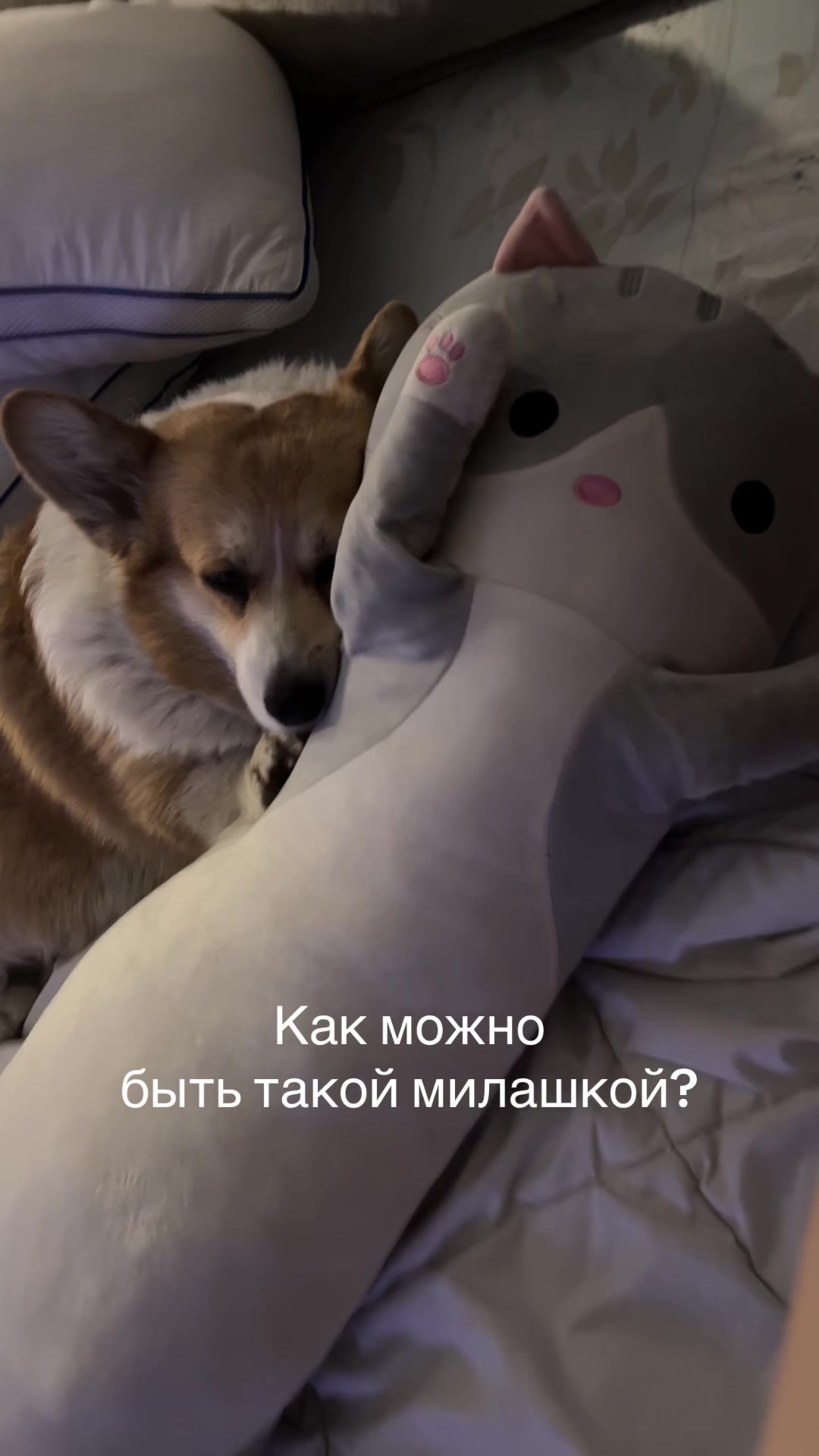 @Pandora&Umka
