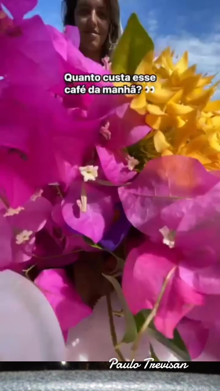 @Paulo Trevisan