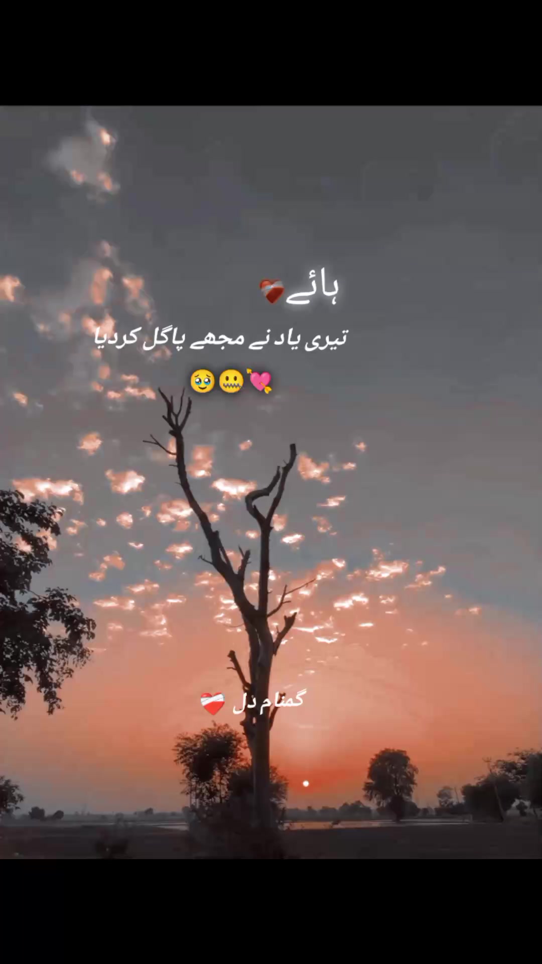 @گمنام دل❤️🩹