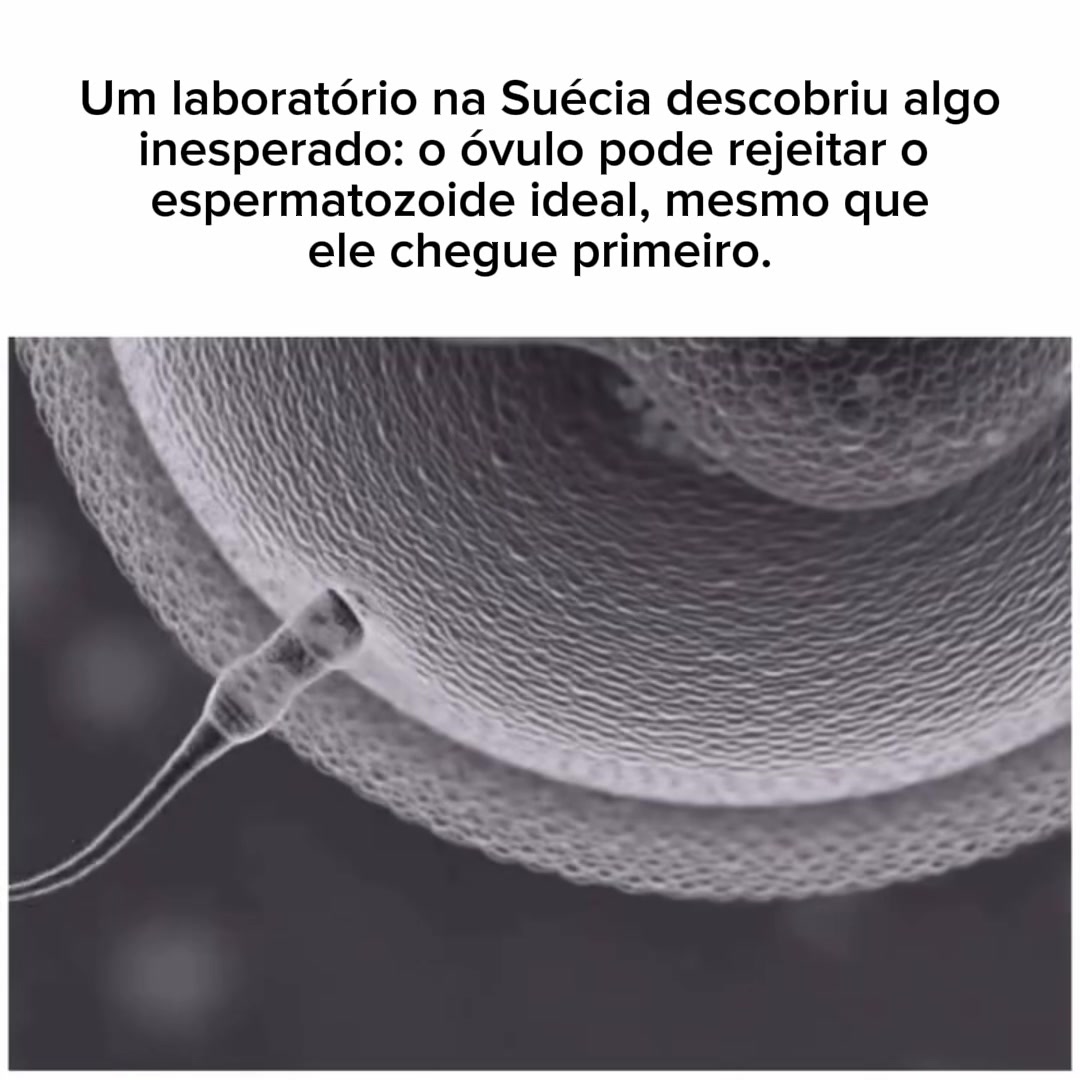 @mundomicrobr