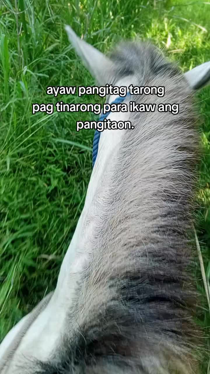 @SERI