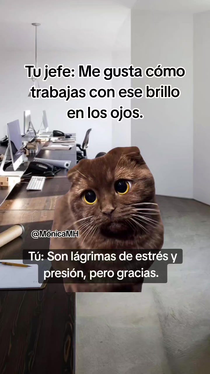 @Mónica MH