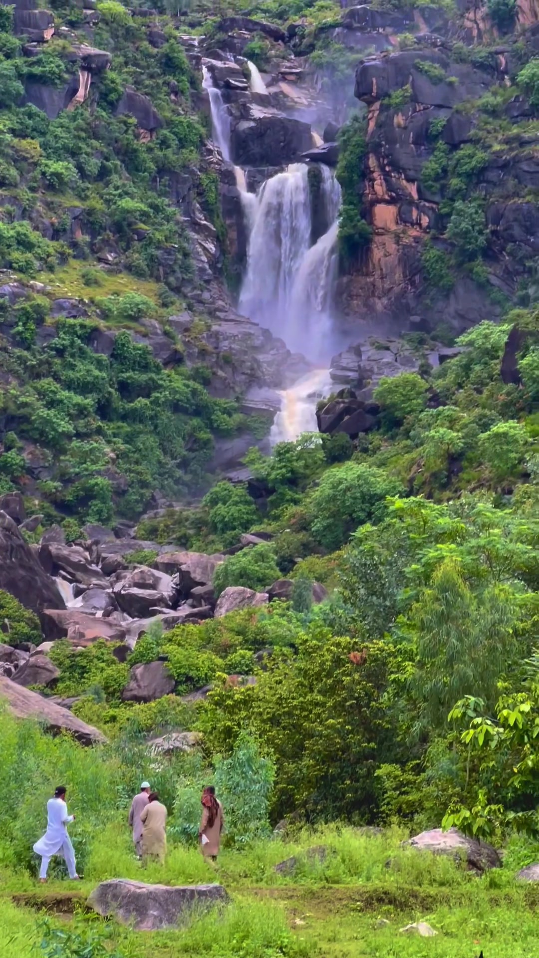 @NATURALIST 🌸
