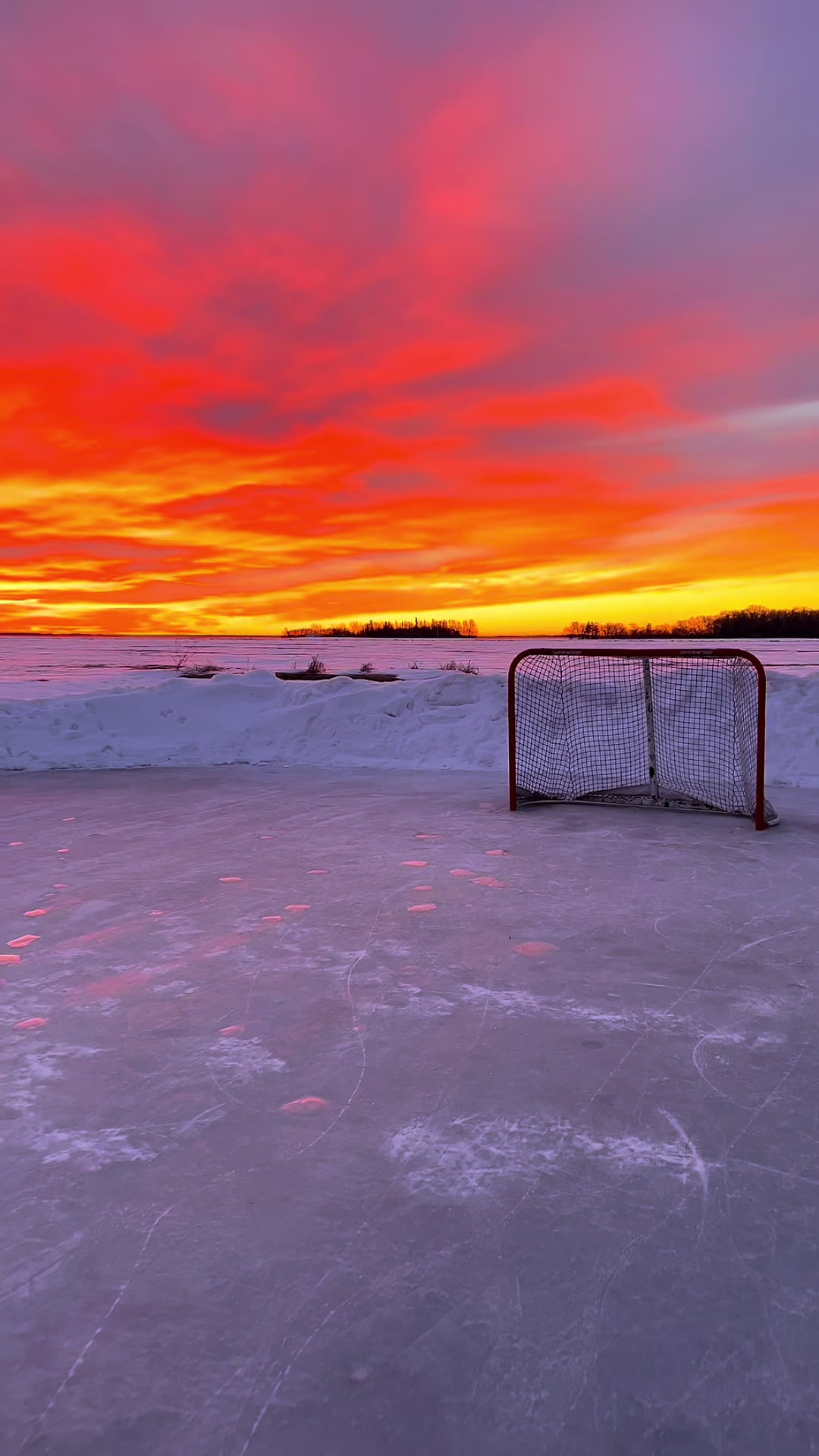 @DreamHockey