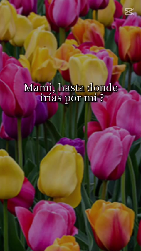 @☘️💫💞Rubíííd