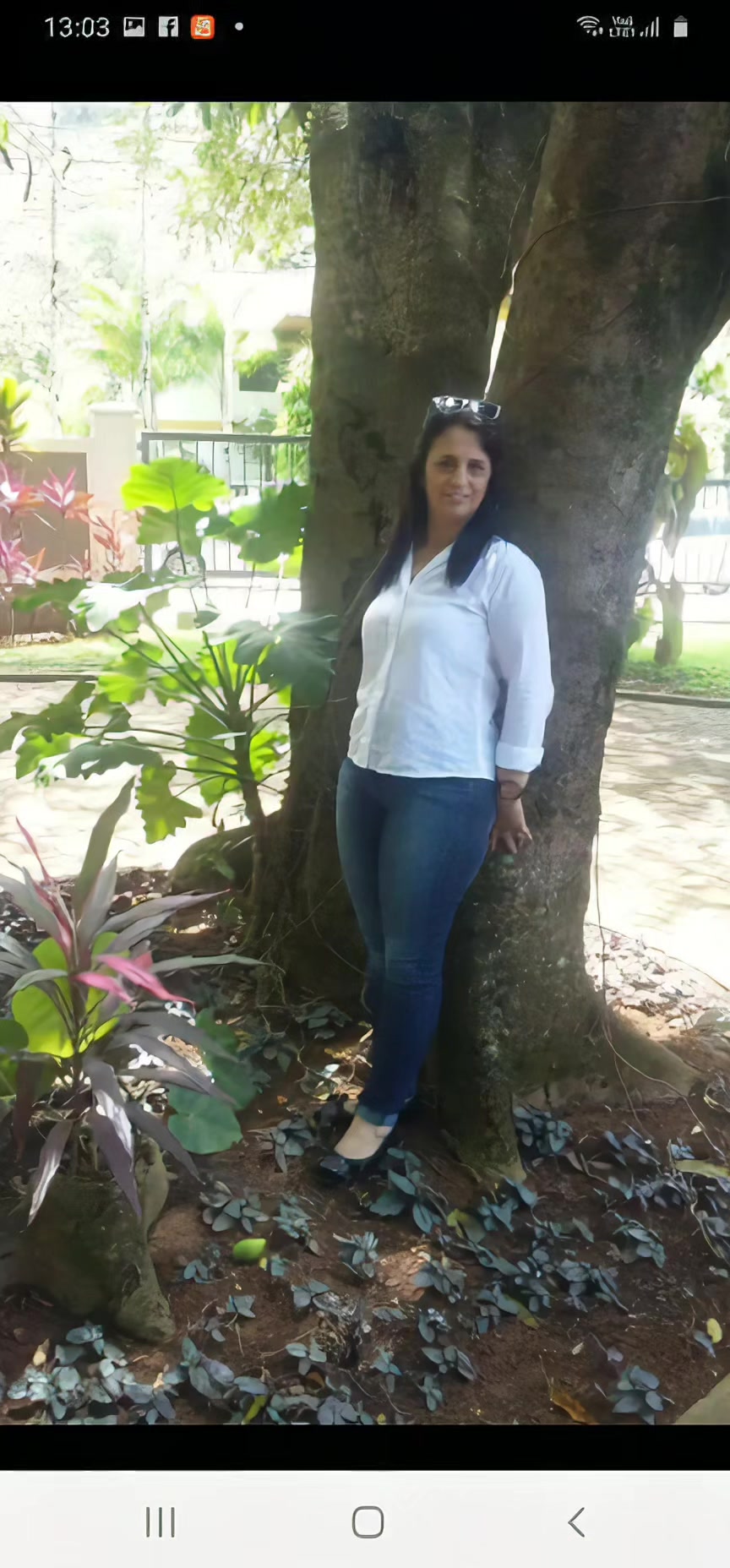 @O GATO ZEZÉ
