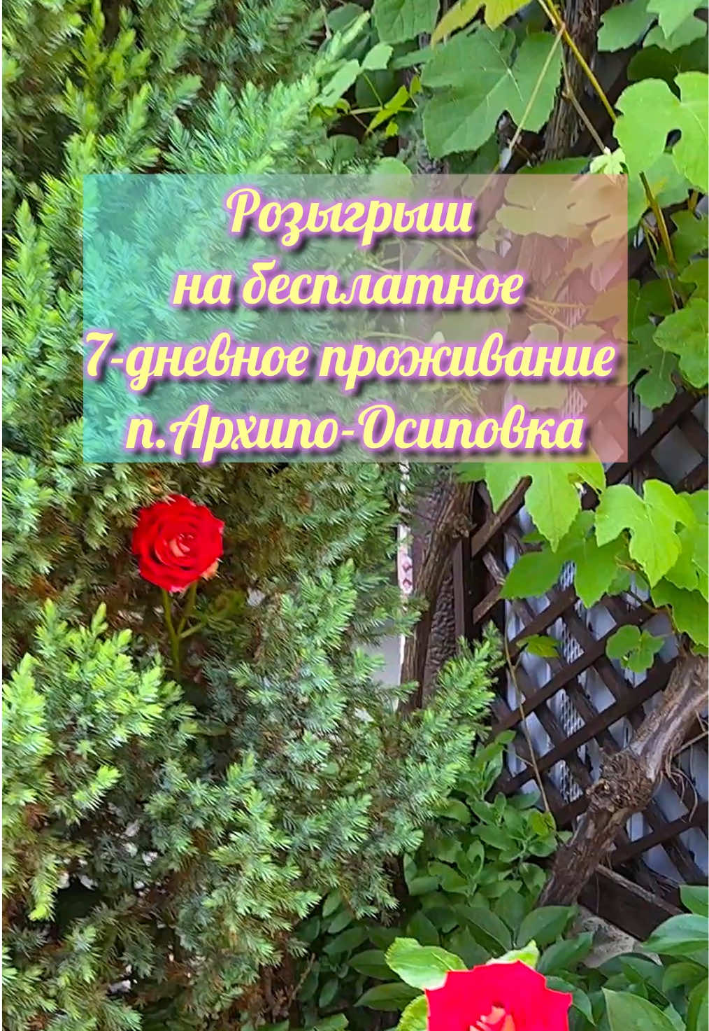 @Туда где море