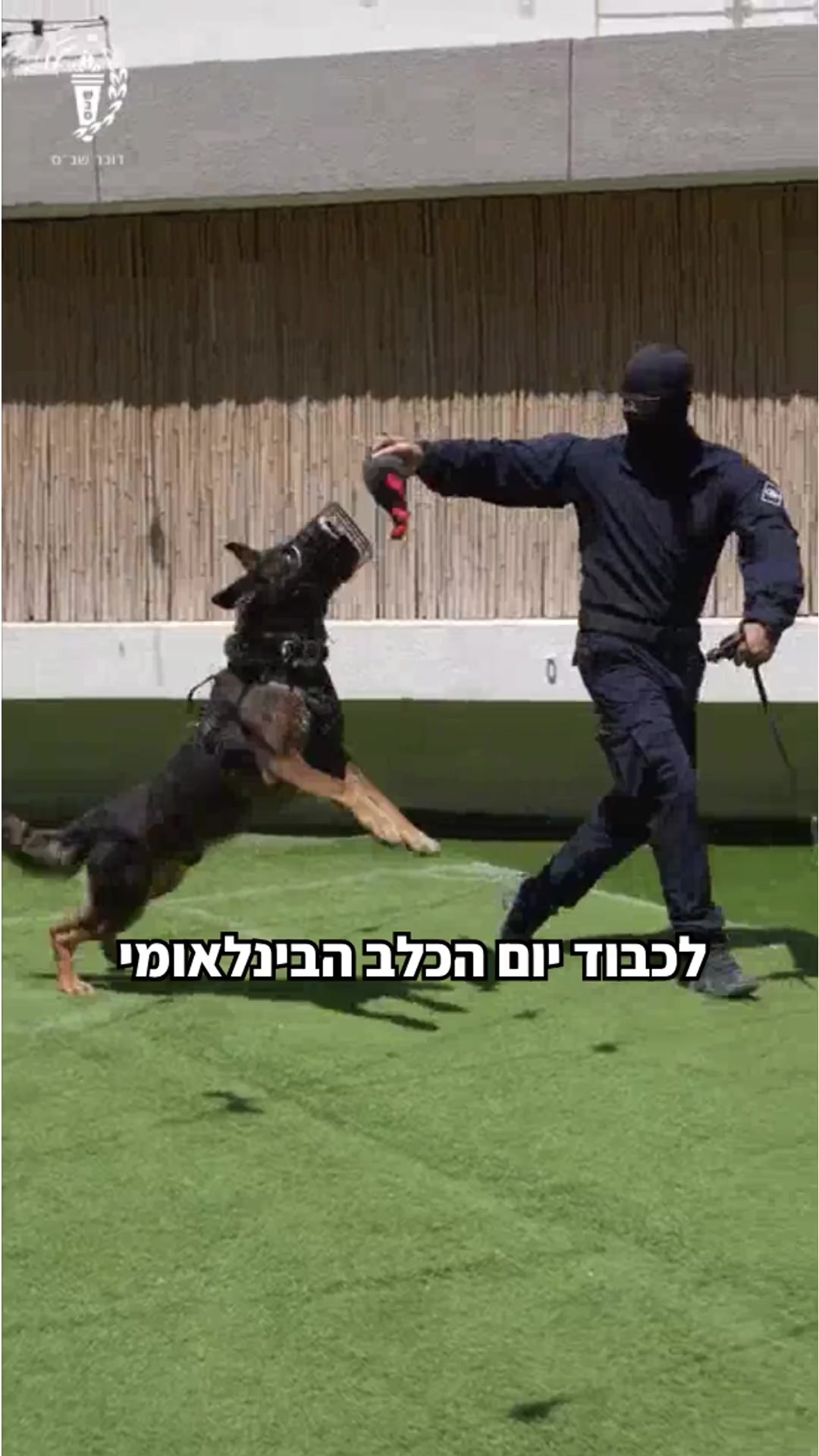 @שירות בתי הסוהר