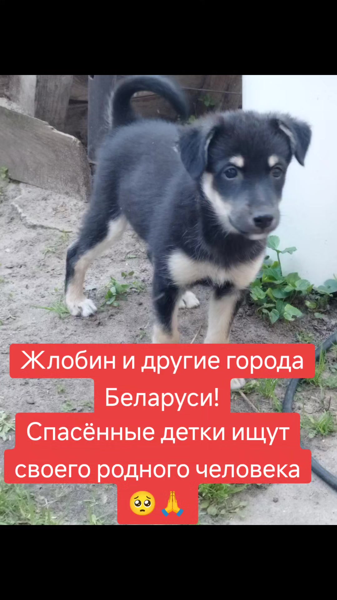 @Светлана Козлова