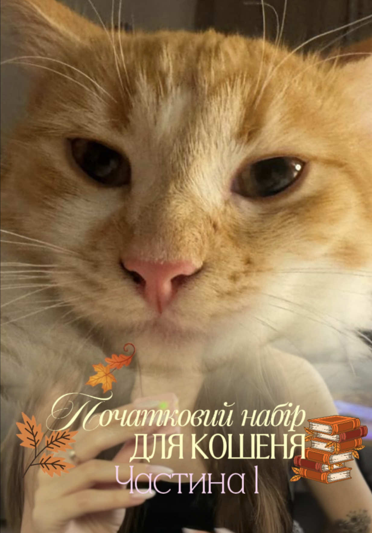 @СОНЯУ