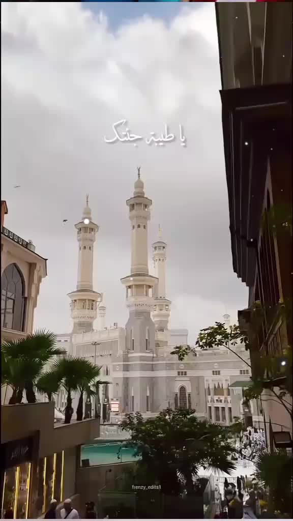 @Muslim 🧕S👳M