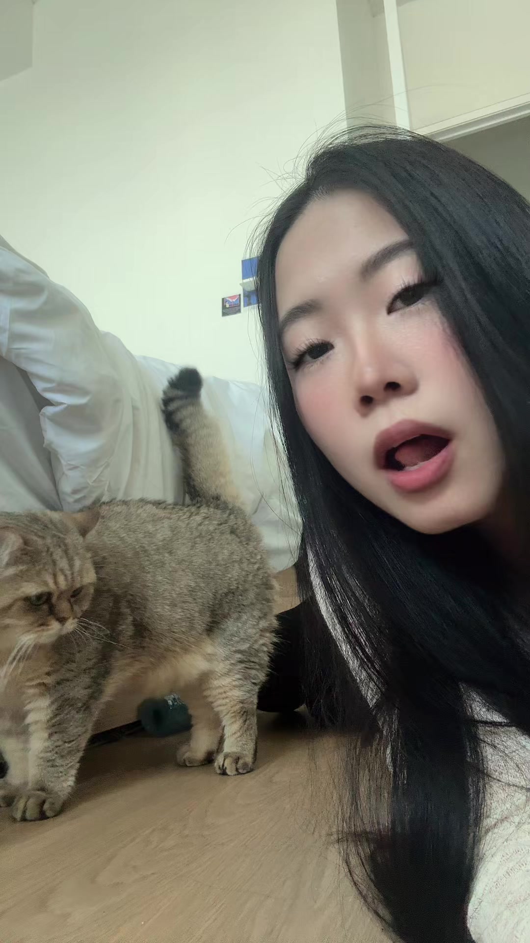 @amy ♡
