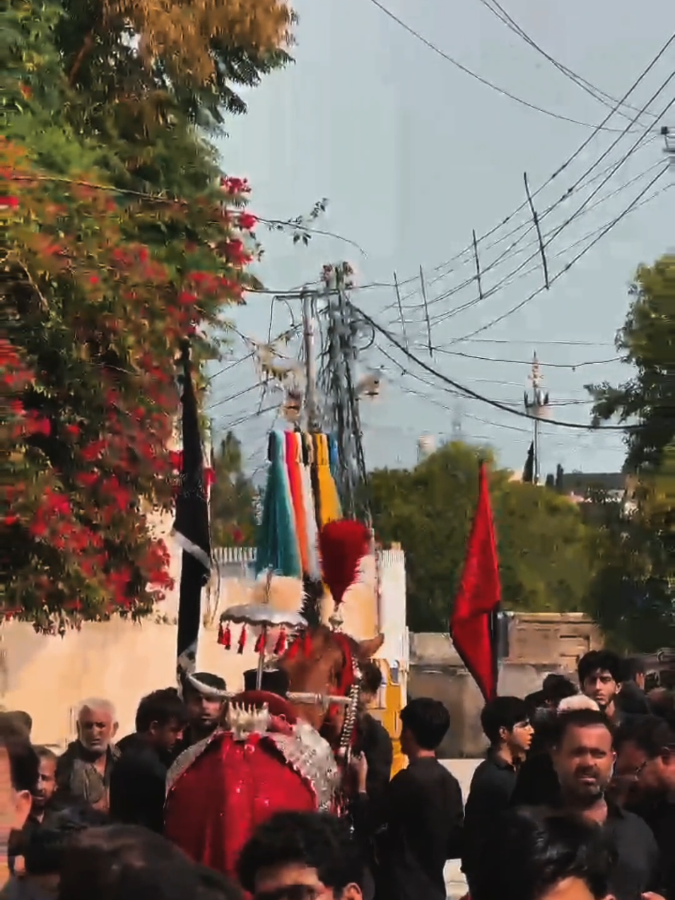 @مرکزی ذوالجناح تلہ گنگ