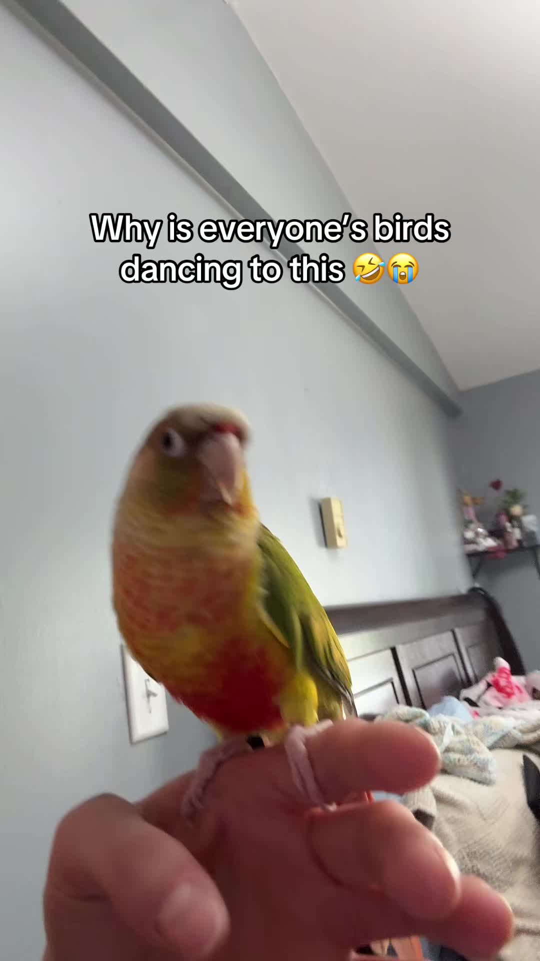 @nessiebeann