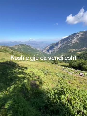 @sadetevisha