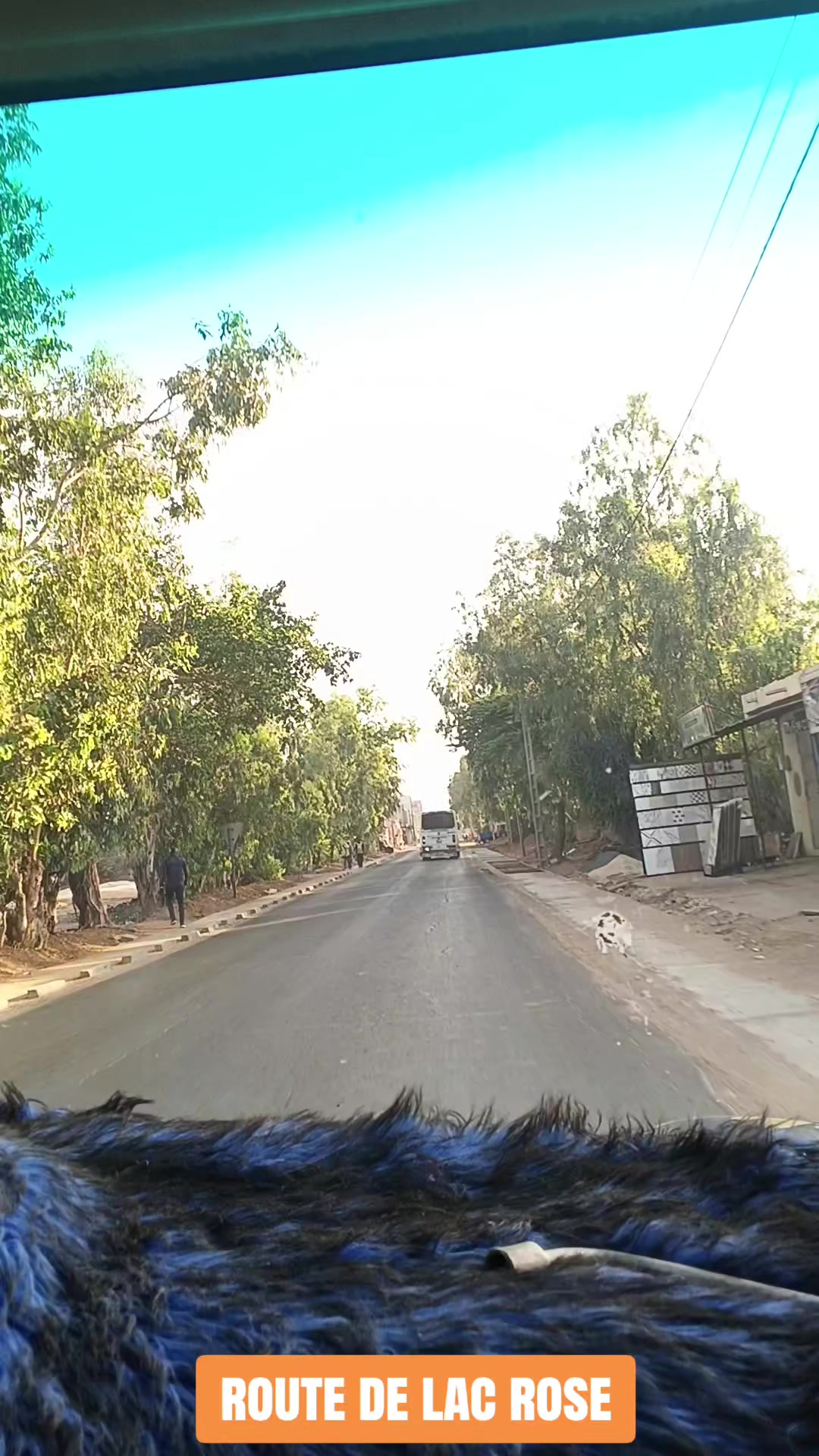 @S&eacute;n&eacute;gal dakar habitat 🇸🇳