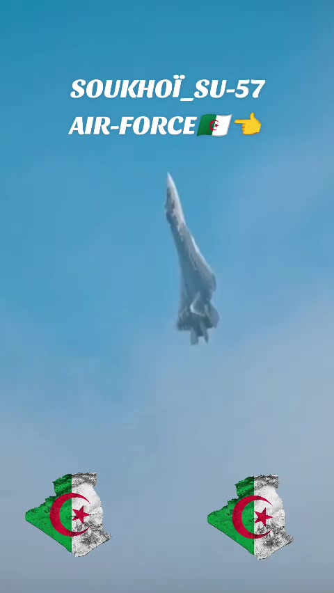 @TOTORINATTO09🇩🇿soukho&iuml;57🇵🇸