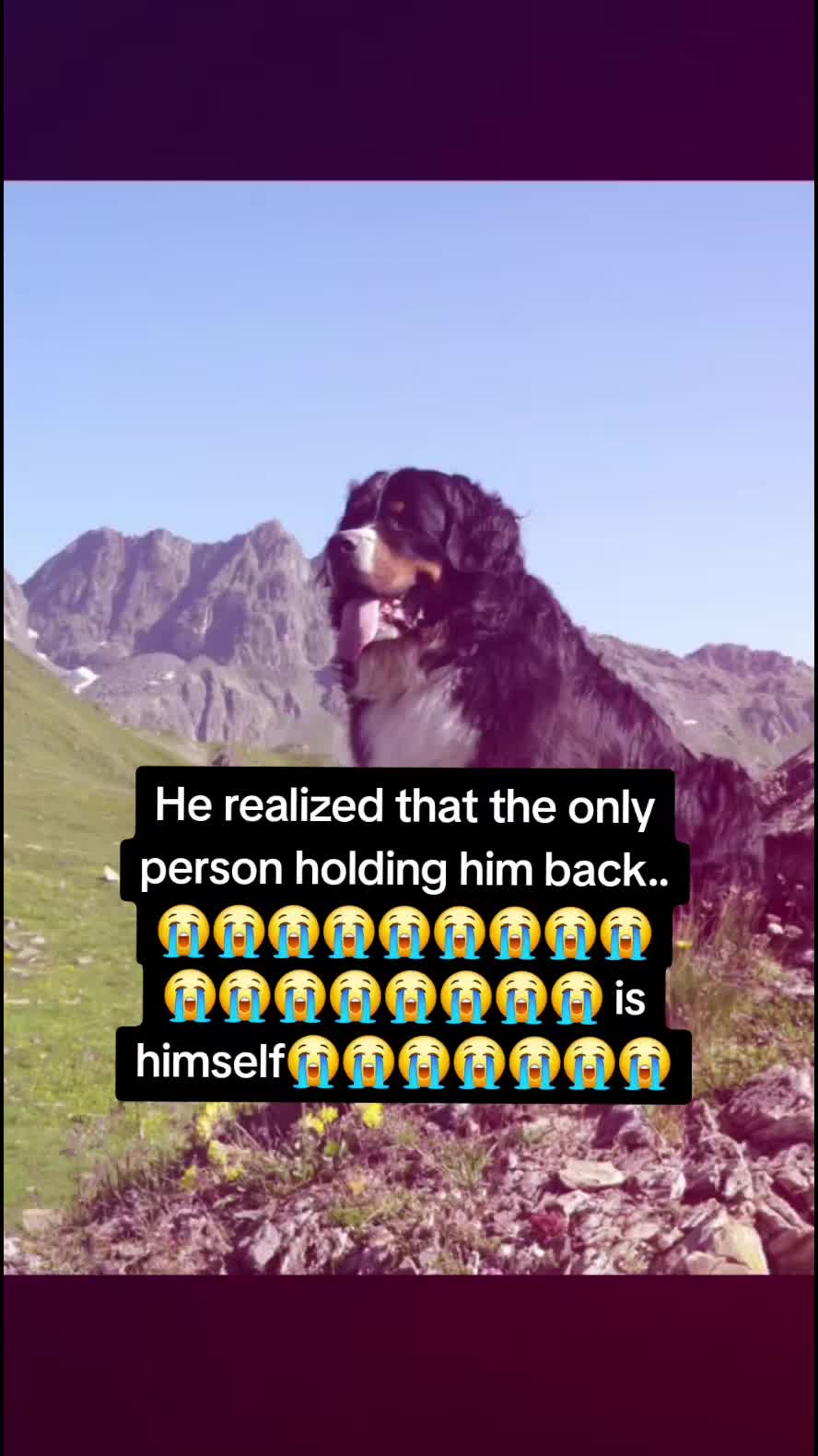 @Brandxn