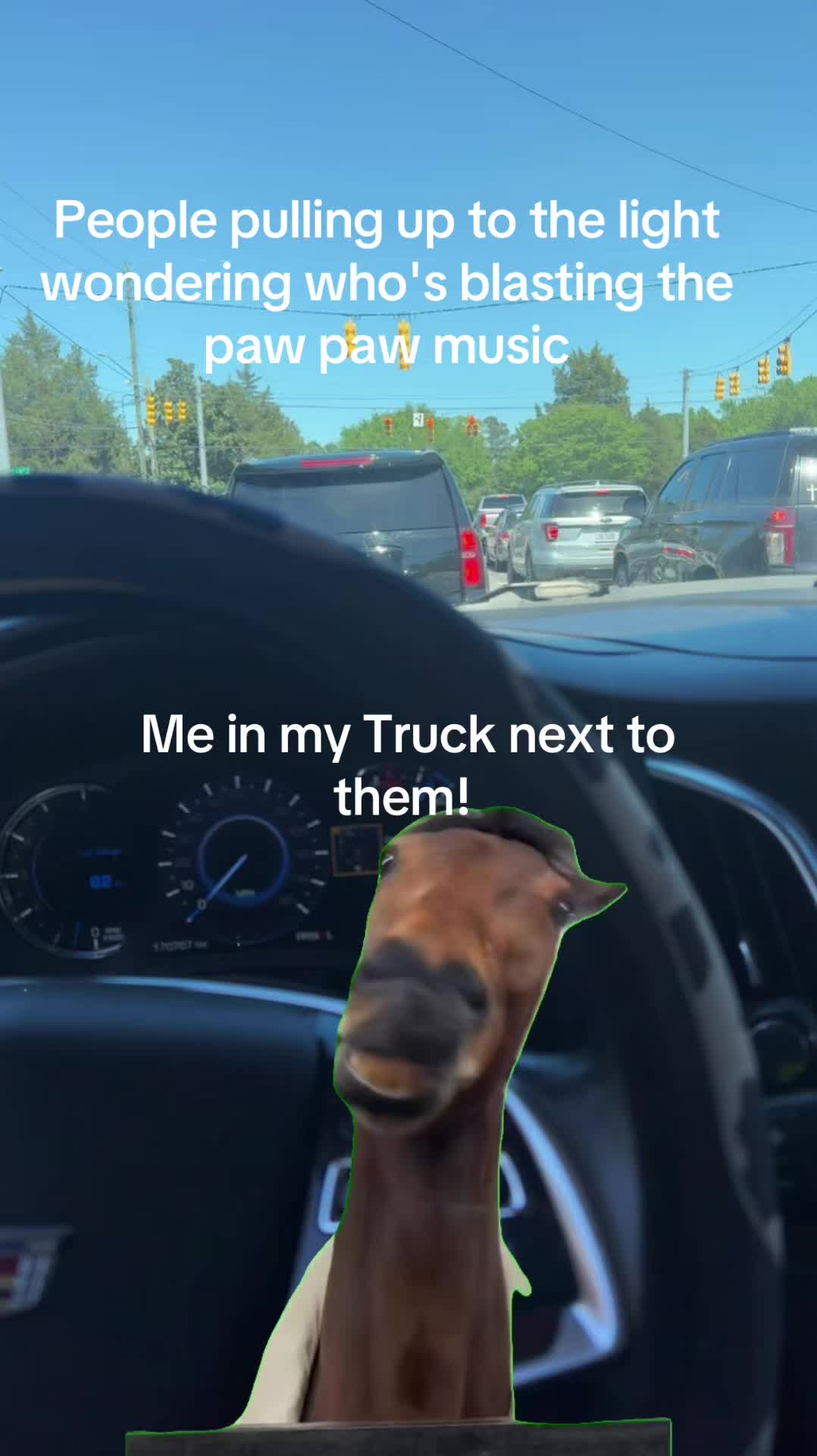 @holly_wood2427