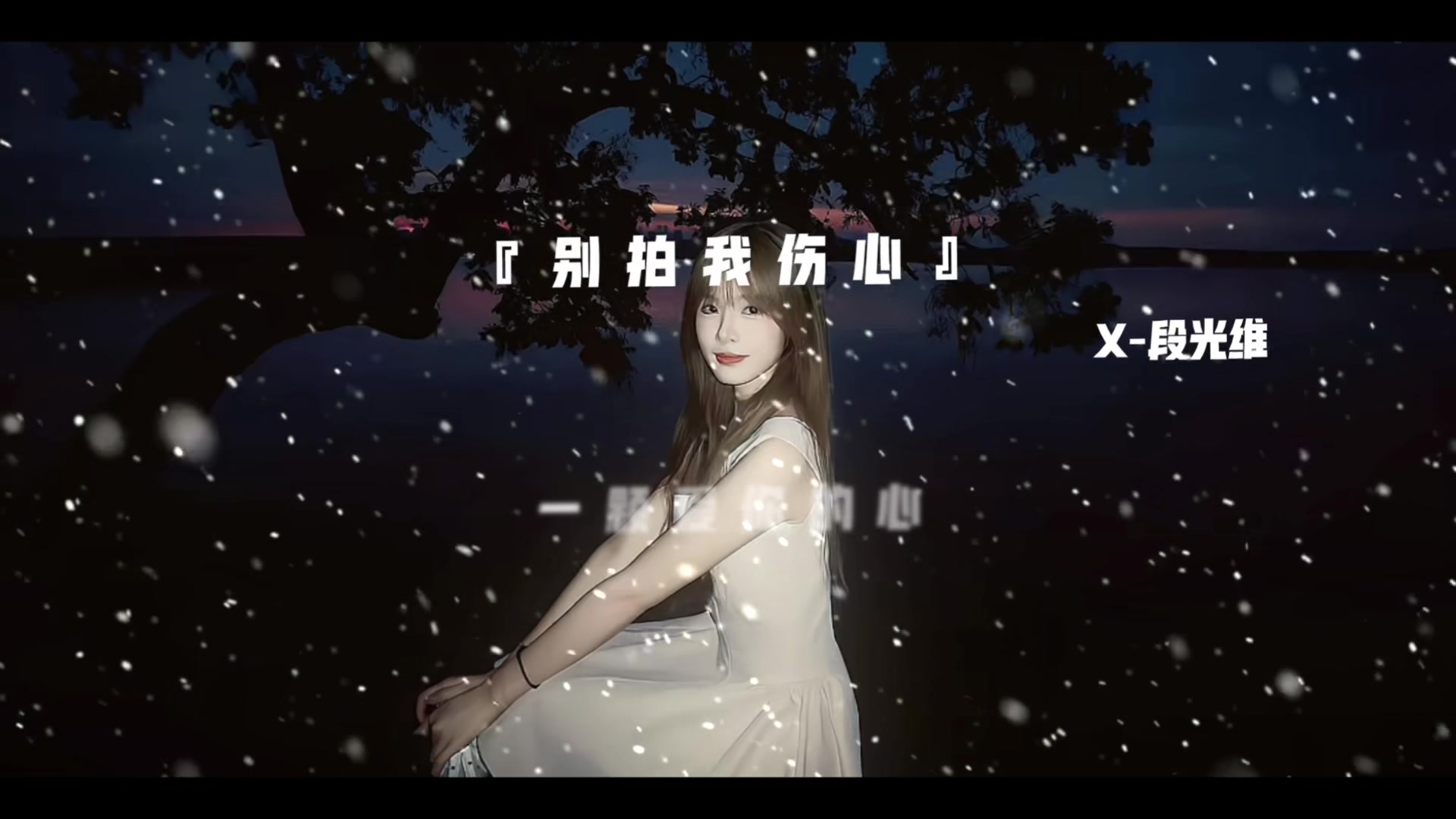@段光维