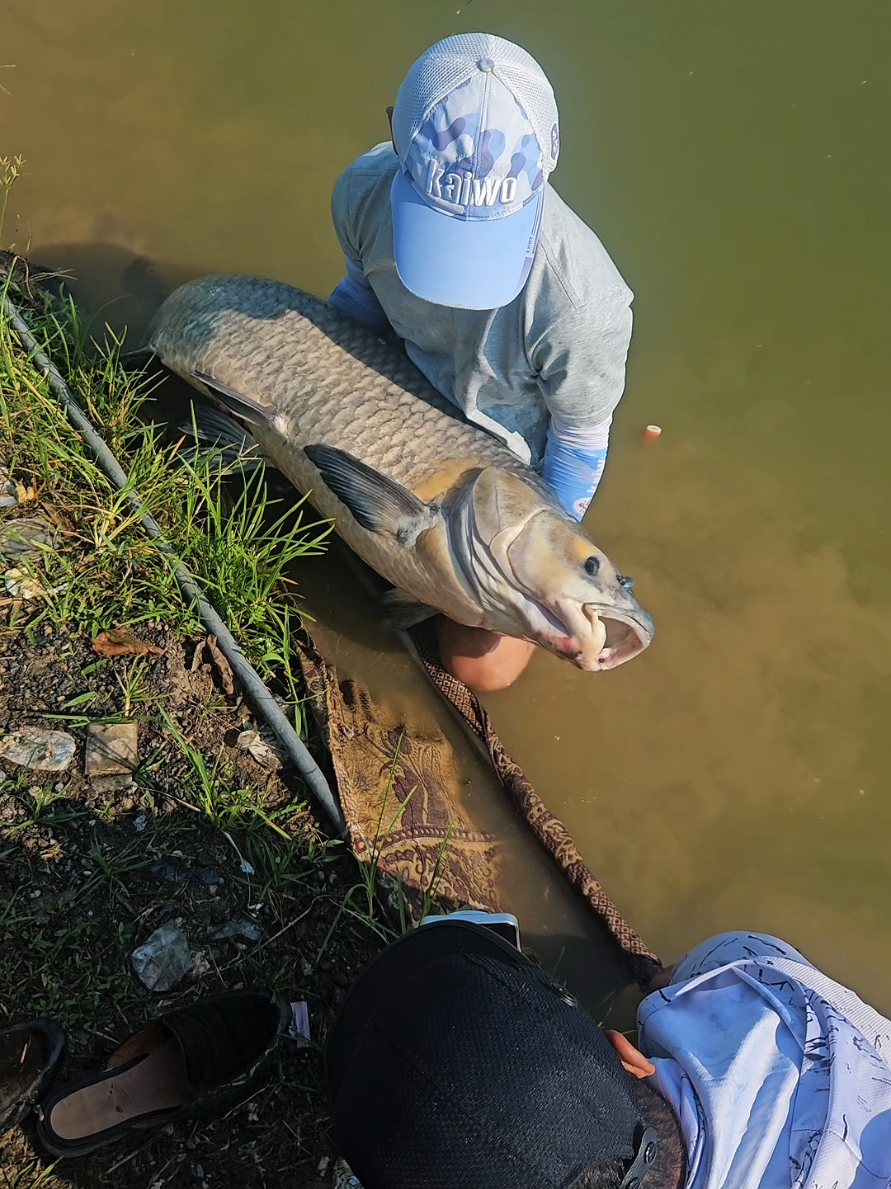 @Dũng Nguyễn Fishing