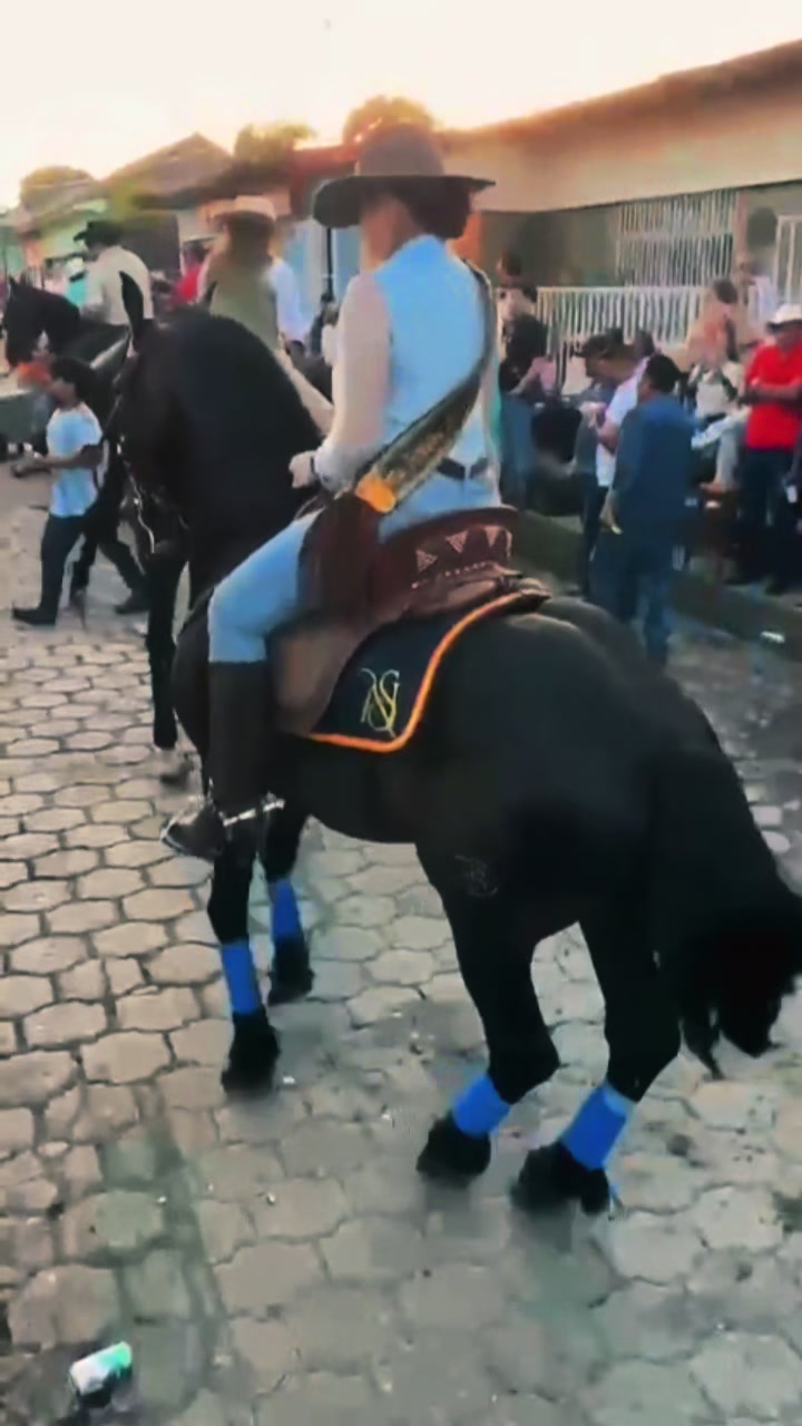 @Nahima Sequeira