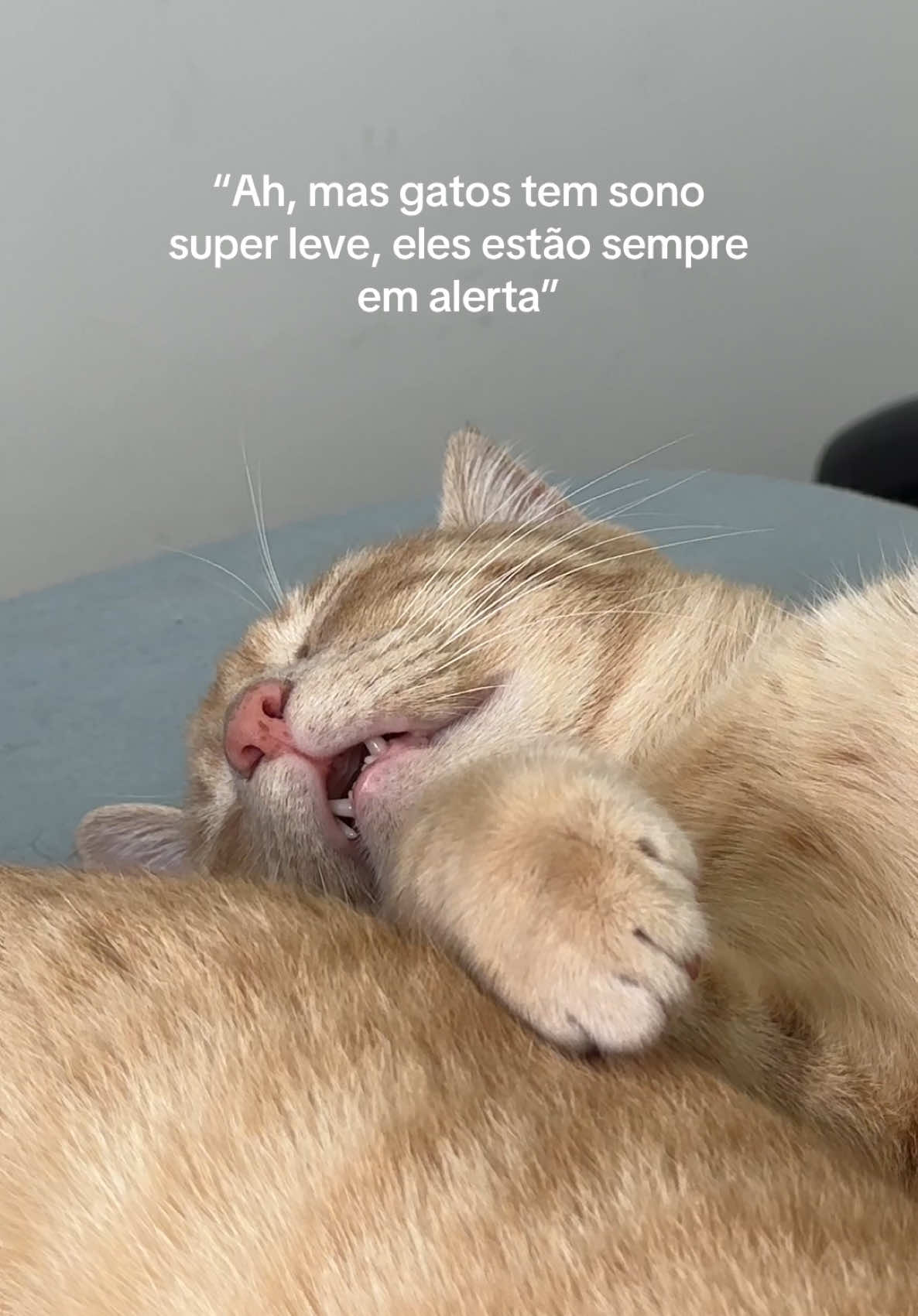 @Mônica Frutuoso