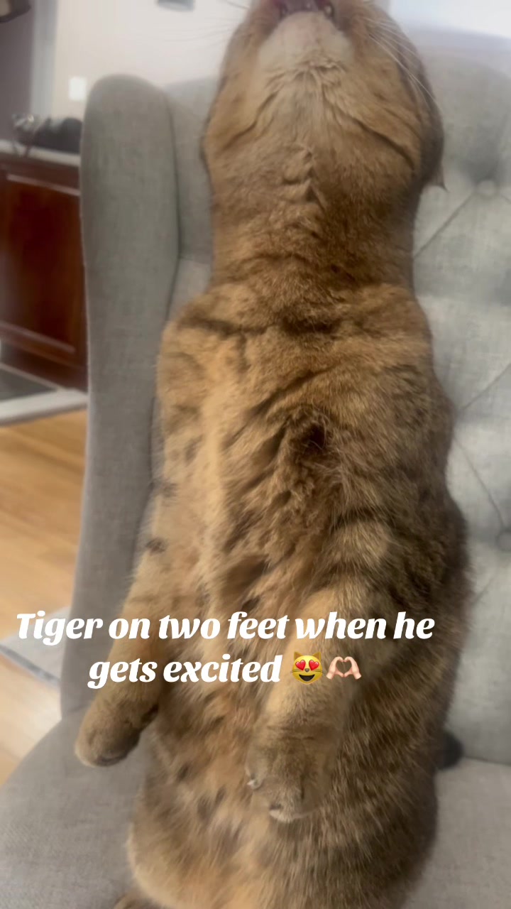 @Tiger,007