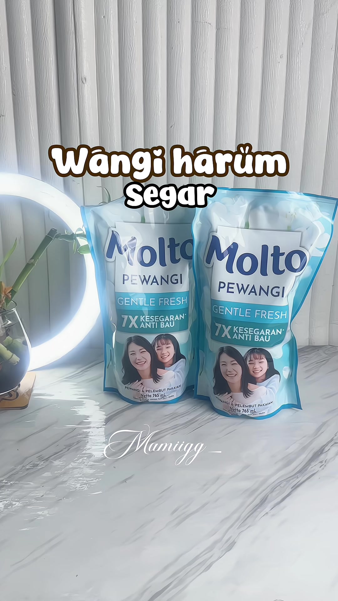 @mamii gg