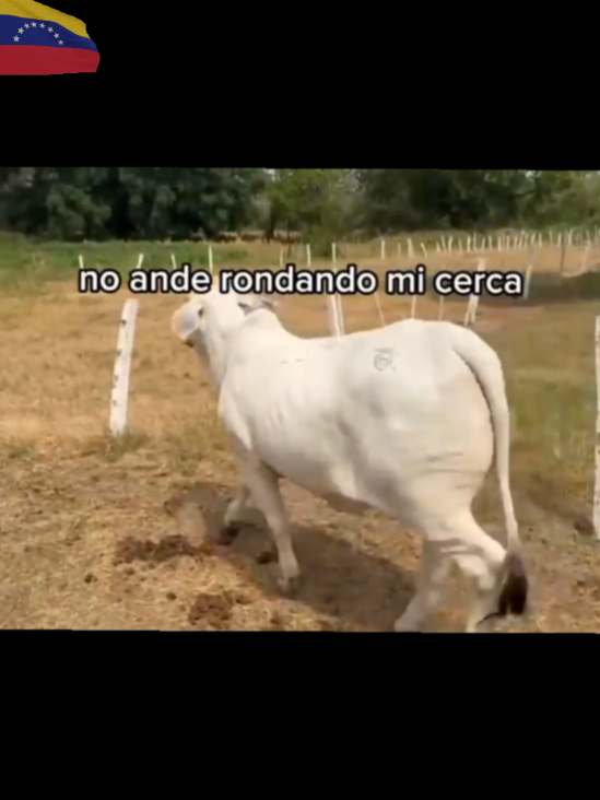 @Miguel &aacute;ngel